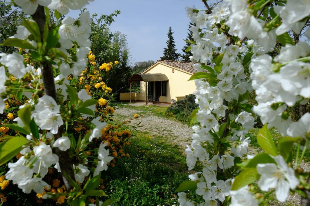 Agriturismo La Roverella Monteroni d'Arbia Bagian luar foto